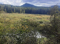 Yaak Riverfront Land in Northwest Montana